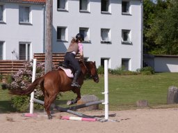 IMG_5578_web